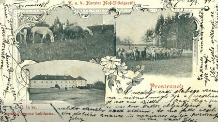 Neverjetna zgodba lepotcev iz Lipice, digitalna zbirka rzglednic, Kosovelova knjižnica Sežana